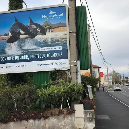 à Antibes, 33 M², Piscine Partagée